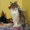Отзыв от Зинаида Мальцева